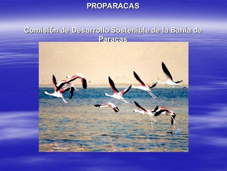 PROPARACAS Comisión de Desarrollo Sostenible de la Bahía de Paracas
