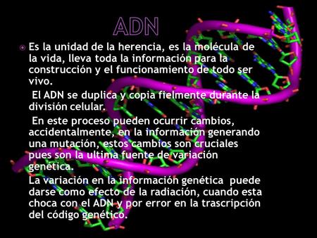 ADN Es la unidad de la herencia, es la molécula de la vida, lleva toda la información para la construcción y el funcionamiento de todo ser vivo. El.