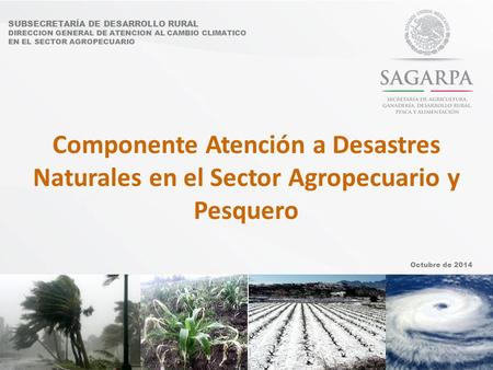SUBSECRETARÍA DE DESARROLLO RURAL DIRECCION GENERAL DE ATENCION AL CAMBIO CLIMATICO EN EL SECTOR AGROPECUARIO Componente Atención a Desastres Naturales.