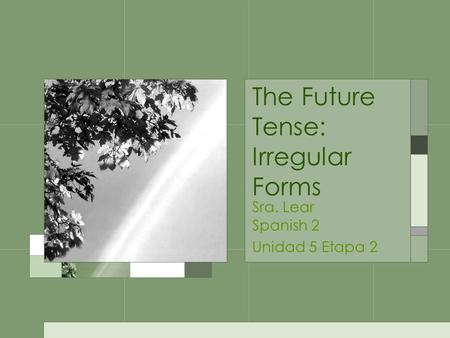 The Future Tense: Irregular Forms Sra. Lear Spanish 2 Unidad 5 Etapa 2.