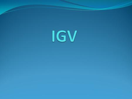 IGV.