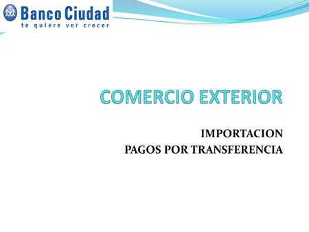 IMPORTACION PAGOS POR TRANSFERENCIA