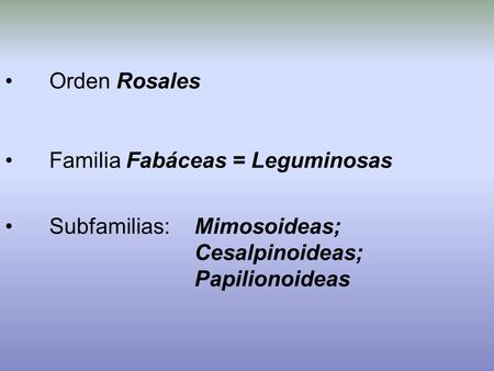 Orden Rosales Familia Fabáceas = Leguminosas