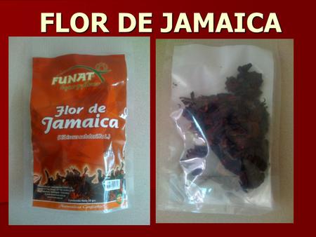 FLOR DE JAMAICA.