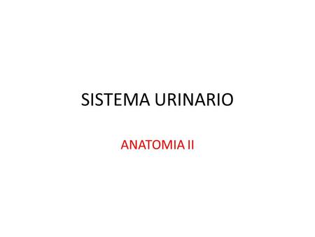 SISTEMA URINARIO ANATOMIA II.