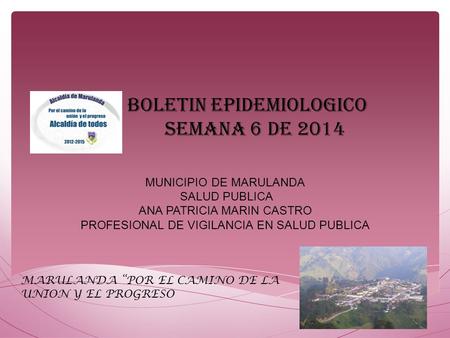 BOLETIN EPIDEMIOLOGICO SEMANA 6 DE 2014