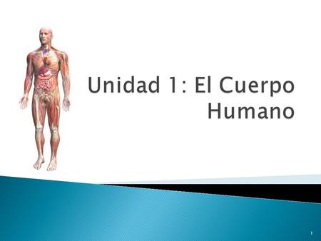 Unidad 1: El Cuerpo Humano