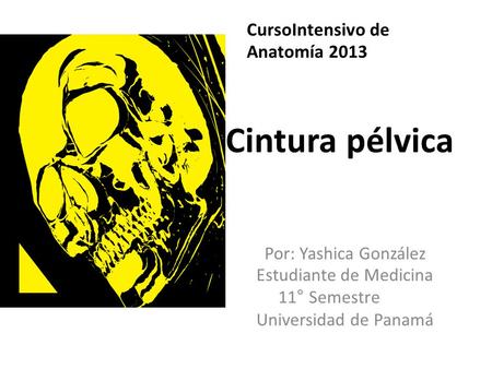 Cintura pélvica CursoIntensivo de Anatomía 2013 Estudiante de Medicina