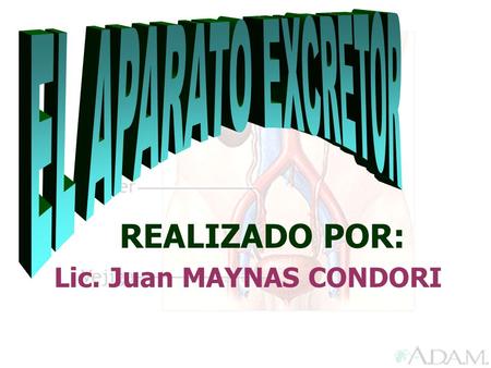 REALIZADO POR: Lic. Juan MAYNAS CONDORI EL APARATO EXCRETOR