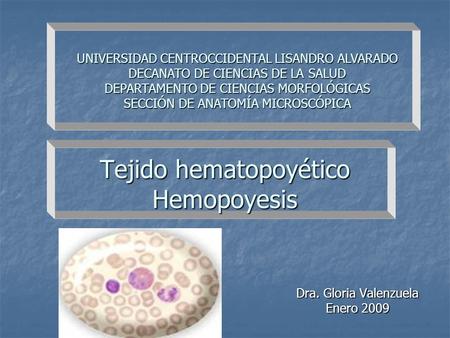 Tejido hematopoyético Hemopoyesis