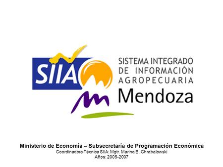 Ministerio de Economía – Subsecretaría de Programación Económica Coordinadora Técnica SIIA: Mgtr. Marina E. Chrabalowski Años: 2005-2007.