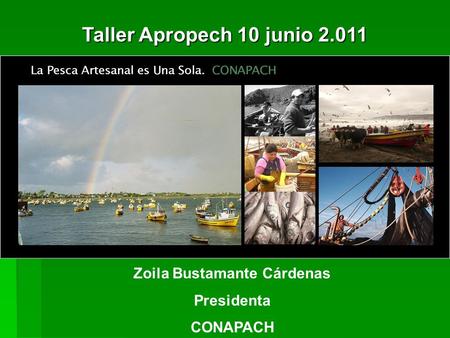 Zoila Bustamante Cárdenas Presidenta CONAPACH Taller Apropech 10 junio 2.011.