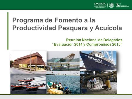 Programa de Fomento a la Productividad Pesquera y Acuícola