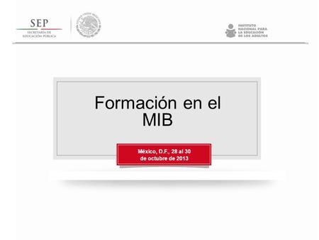Formación en el MIB México, D.F., 28 al 30 de octubre de 2013.