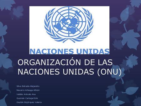 ORGANIZACIÓN DE LAS NACIONES UNIDAS (ONU)