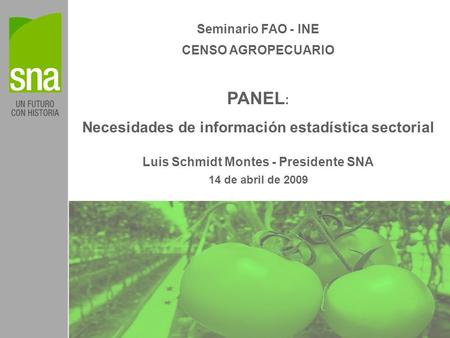 Seminario FAO - INE CENSO AGROPECUARIO PANEL : Necesidades de información estadística sectorial Luis Schmidt Montes - Presidente SNA 14 de abril de 2009.