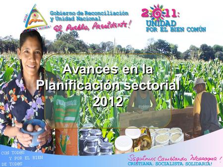 Avances en la Planificación sectorial 2012