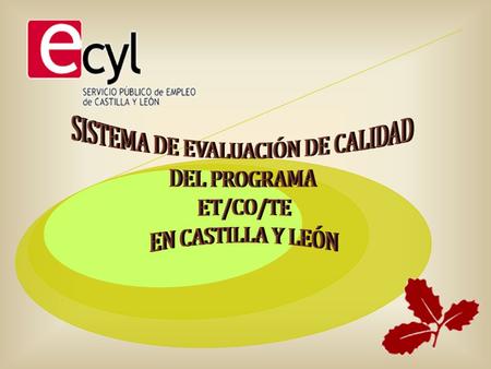 Sistema de evaluación de calidad del programa ET/CO/TE en Castilla y León La evaluación es un proceso necesario en toda acción formativa como forma de.