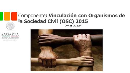 Componente: Vinculación con Organismos de la Sociedad Civil (OSC) 2015 DOF 28 DIC 2014.