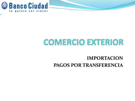 IMPORTACION PAGOS POR TRANSFERENCIA