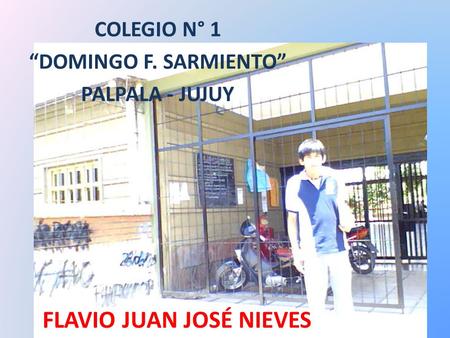 FLAVIO JUAN JOSÉ NIEVES COLEGIO N° 1 “DOMINGO F. SARMIENTO” PALPALA - JUJUY.