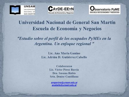Universidad Nacional de General San Mart í n Escuela de Economía y Negocios “ Estudio sobre el perfil de los ocupados PyMEs en la Argentina. Un enfoque.