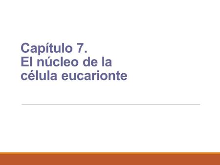 Capítulo 7. El núcleo de la célula eucarionte