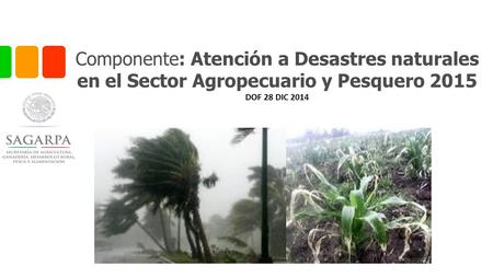 Componente: Atención a Desastres naturales en el Sector Agropecuario y Pesquero 2015 DOF 28 DIC 2014.
