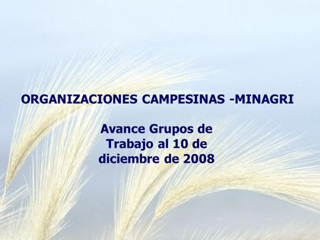 ORGANIZACIONES CAMPESINAS -MINAGRI Avance Grupos de Trabajo al 10 de diciembre de 2008.