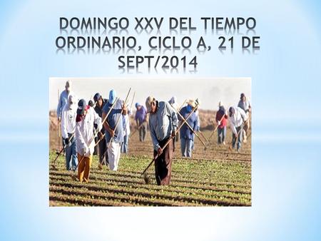 DOMINGO XXV DEL TIEMPO ORDINARIO, CICLO A, 21 DE SEPT/2014