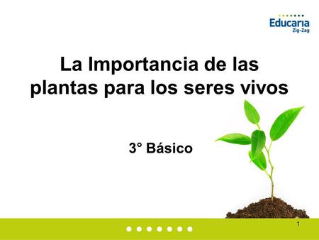 1 La Importancia de las plantas para los seres vivos 3° Básico.