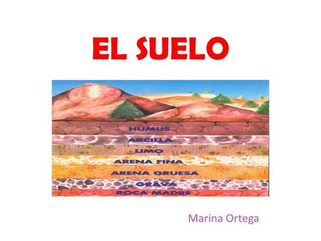EL SUELO Marina Ortega.