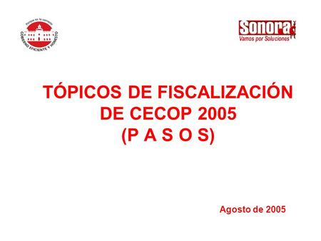 TÓPICOS DE FISCALIZACIÓN DE CECOP 2005 (P A S O S)