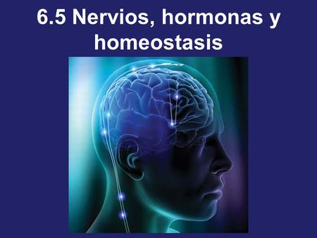 6.5 Nervios, hormonas y homeostasis