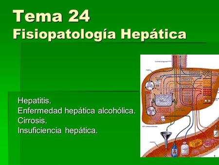 Tema 24 Fisiopatología Hepática