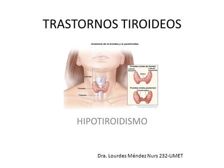 TRASTORNOS TIROIDEOS HIPOTIROIDISMO Dra. Lourdes Méndez Nurs 232-UMET.
