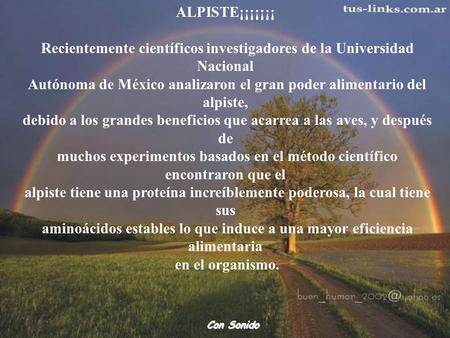 ALPISTE¡¡¡¡¡¡¡ Recientemente científicos investigadores de la Universidad Nacional Autónoma de México analizaron el gran poder alimentario del alpiste,