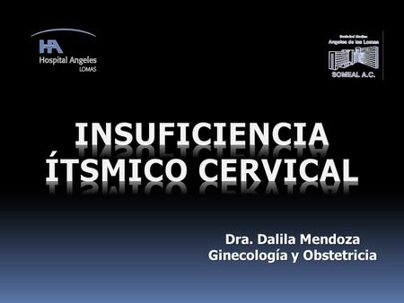 Dra. Dalila Mendoza Ginecología y Obstetricia
