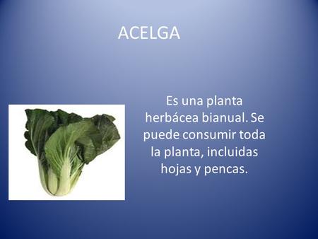 ACELGA Es una planta herbácea bianual. Se puede consumir toda la planta, incluidas hojas y pencas.