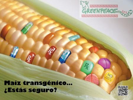 Maíz transgénico… ¿Estás seguro?. La realidad del maíz transgénico… Va más allá de lo que ves…