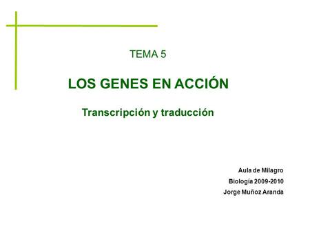 TEMA 5 LOS GENES EN ACCIÓN Aula de Milagro Biología 2009-2010 Jorge Muñoz Aranda Transcripción y traducción.