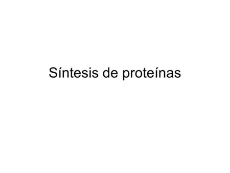 Síntesis de proteínas.
