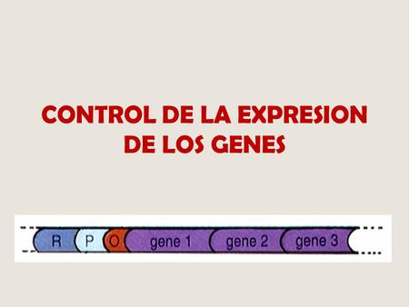 CONTROL DE LA EXPRESION DE LOS GENES