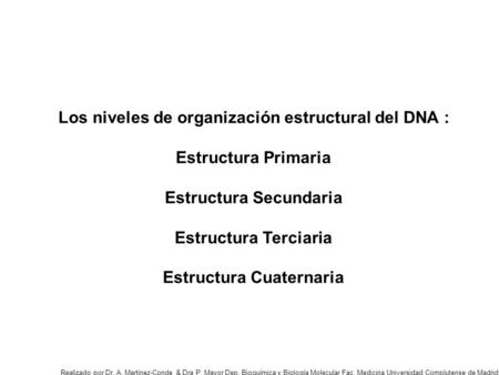 Los niveles de organización estructural del DNA : Estructura Primaria
