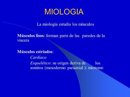 La miología estudia los músculos