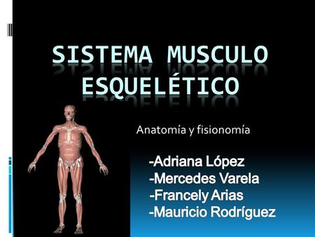 Sistema musculo esquelético