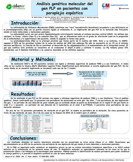 Análisis genético molecular del gen PLP en pacientes con paraplejia espástica M. Muñoz Calero, P. Martínez-Montero, M.A. Sanz Rodríguez, G. Hernández Poveda,