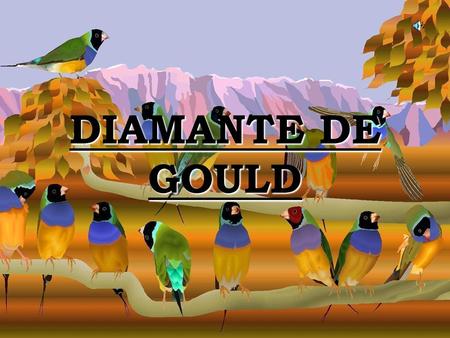 DIAMANTE DE GOULD.