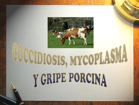 COCCIDIOSIS, MYCOPLASMA