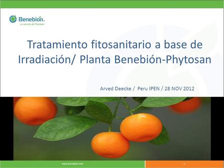 Tratamiento fitosanitario a base de Irradiación/ Planta Benebión-Phytosan Arved Deecke / Peru IPEN / 28 NOV 2012.